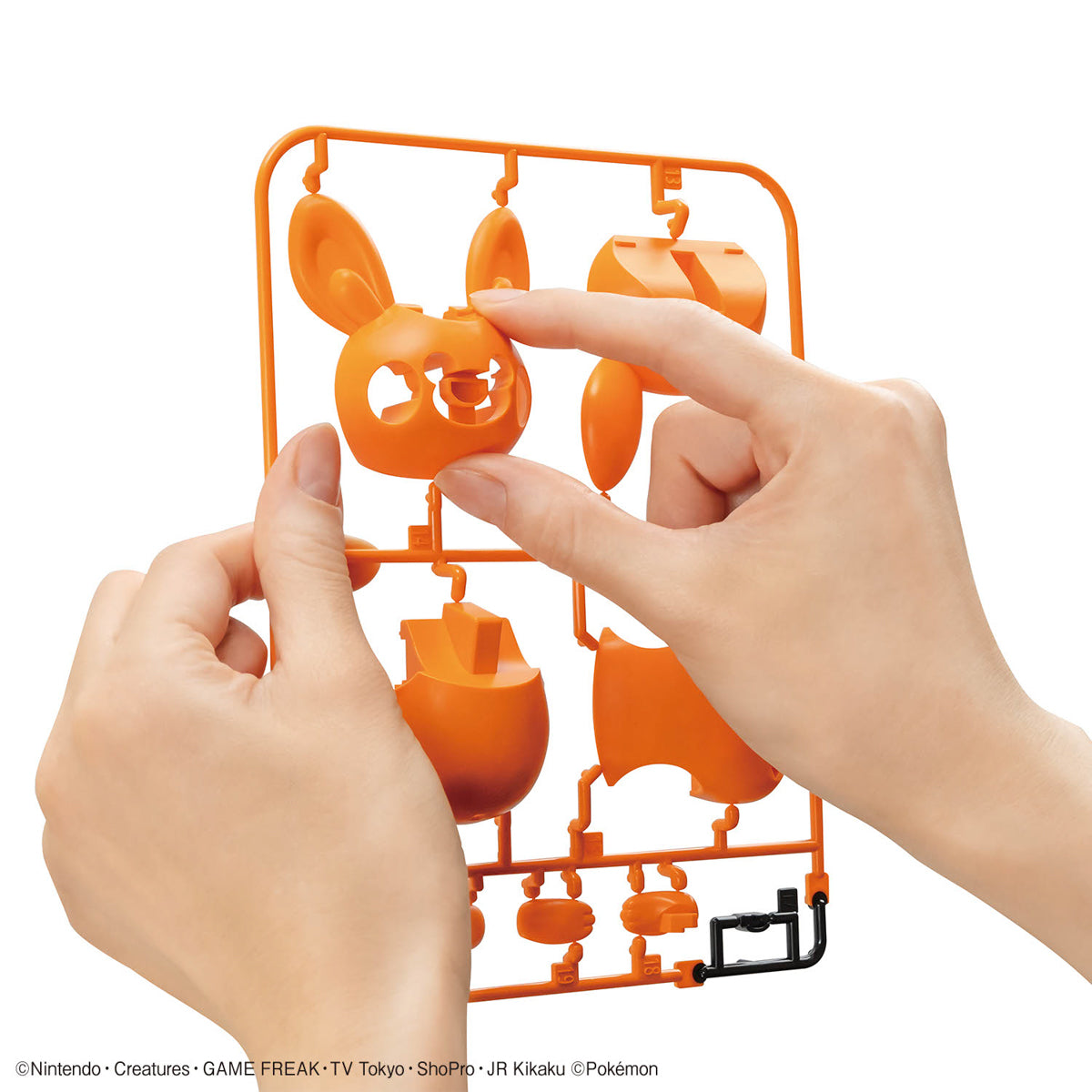 Bandai 精靈寶可夢模型系列QUICK!! 布撥 組裝模型