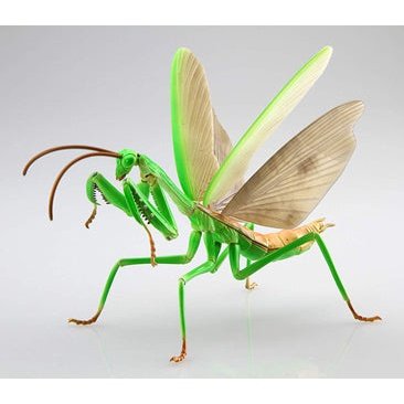 Fujimi 1/1 自由研究 23 大刀螳螂 組裝模型 - TwinnerModel