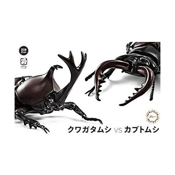 Fujimi 1/1 自由研究 25 獨角仙vs 鍬形蟲對決套組 組裝模型 - TwinnerModel