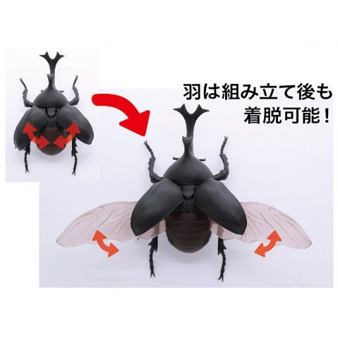 Fujimi 1/1 自由研究 21 獨角仙 組裝模型 - TwinnerModel