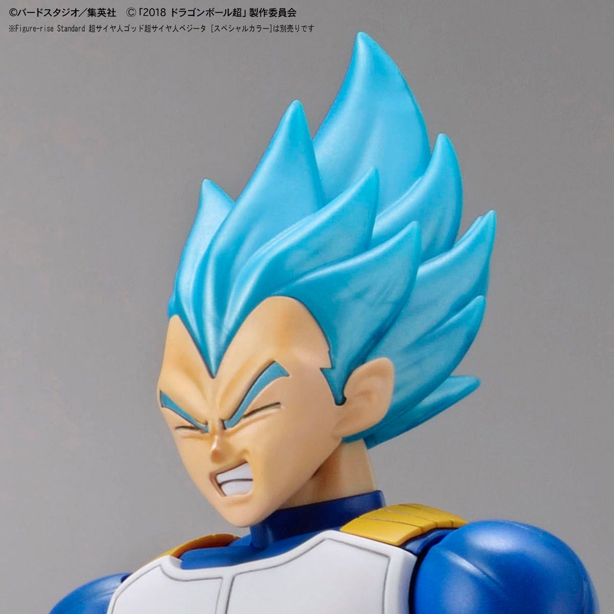 Bandai Figure-rise Standard 龍珠 超 超級賽亞人布羅利 全力形態 組裝模型 - TwinnerModel