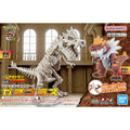 Bandai Pokemon Plamo Collection 組裝模型化石模型 怪顎龍 組裝模型