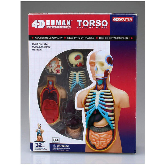 Aoshima 4D Vision Human Anatomy Model 4D Torso Model Plastic Model Kit