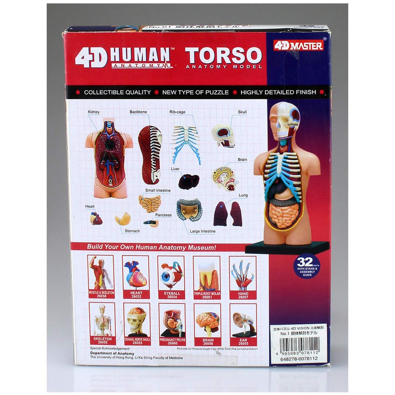Aoshima 4D VISION 人體解剖 4D軀幹模型 組裝模型