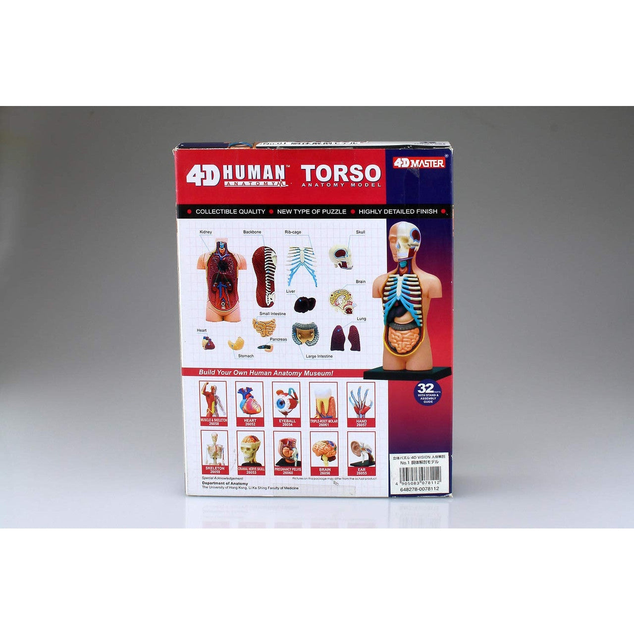 Aoshima 4D VISION 人體解剖 4D軀幹模型 組裝模型