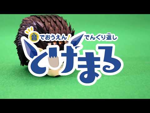 Elekit EK 10731 刺蝟機器人套件 組裝模型
