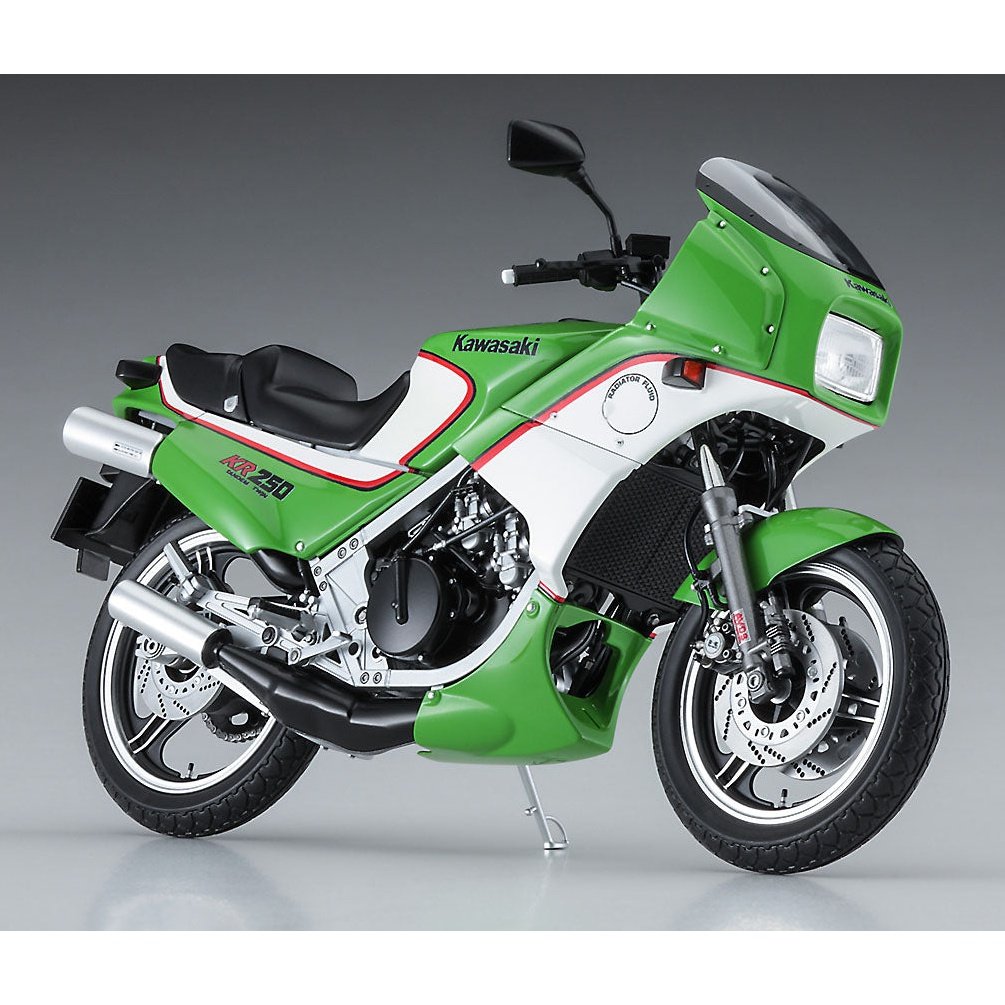 Hasegawa 1/12 BK 12 KAWASAKI KR250 KR250A 組裝模型 - TwinnerModel