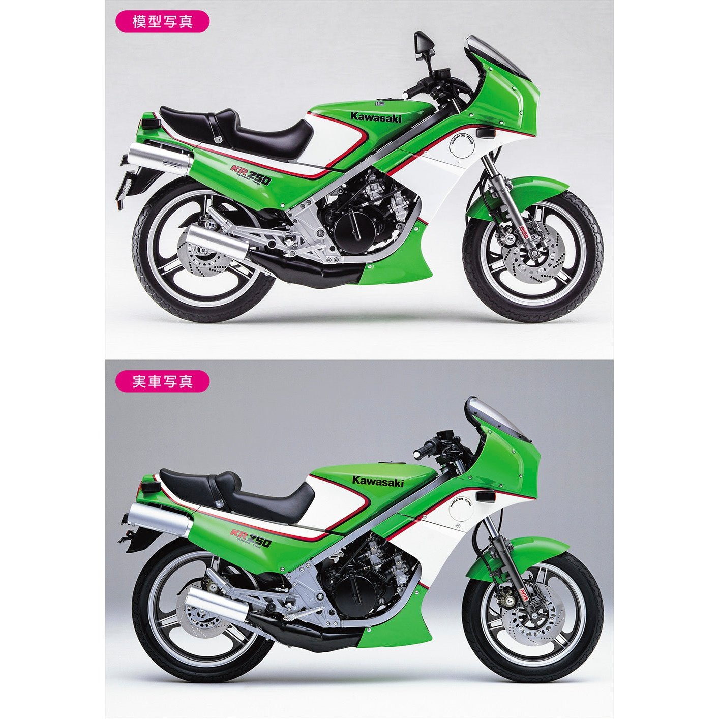 Hasegawa 1/12 BK 12 KAWASAKI KR250 KR250A 組裝模型 - TwinnerModel