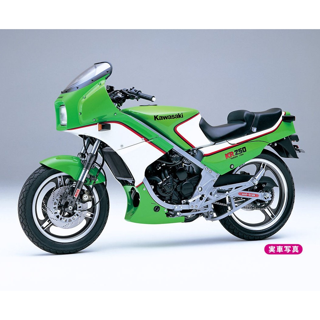 Hasegawa 1/12 BK 12 KAWASAKI KR250 KR250A 組裝模型 - TwinnerModel