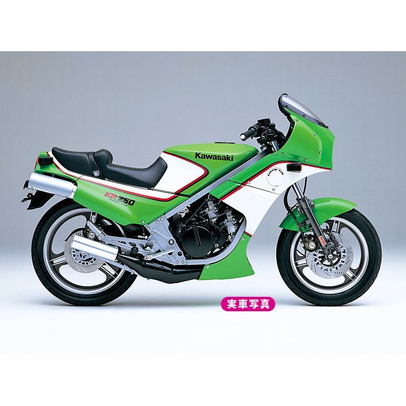 Hasegawa 1/12 BK 12 KAWASAKI KR250 KR250A 組裝模型 - TwinnerModel