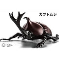 Fujimi 1/1 自由研究 21 獨角仙 組裝模型 - TwinnerModel