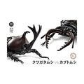 Fujimi 1/1 自由研究 25 獨角仙vs 鍬形蟲對決套組 組裝模型 - TwinnerModel