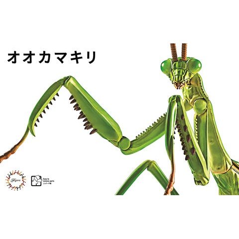 Fujimi 1/1 自由研究 23 大刀螳螂 組裝模型 - TwinnerModel