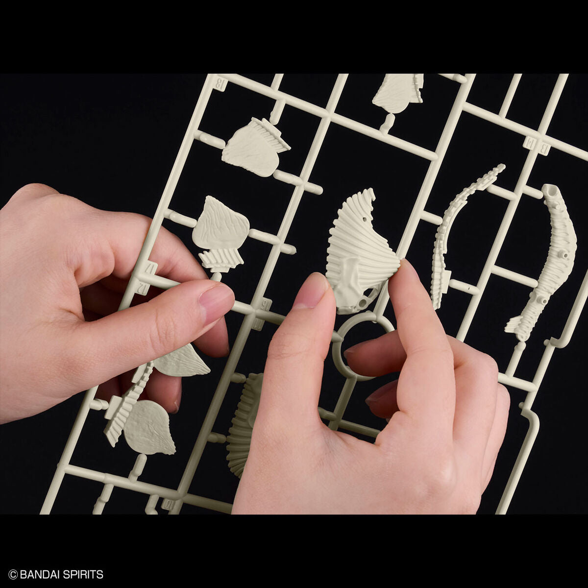 Bandai 新恐龍模型系列 劍龍屬 組裝模型 - TwinnerModel