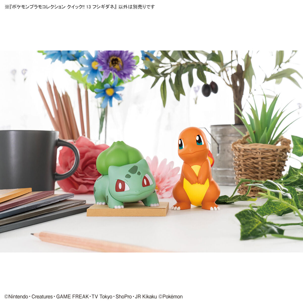 Bandai 精靈寶可夢 Pokemon PLAMO 12 奇異種子 組裝模型 - TwinnerModel