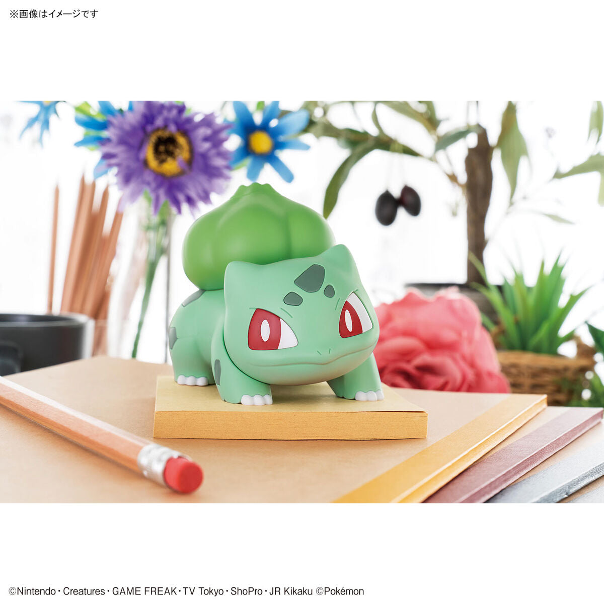 Bandai 精靈寶可夢 Pokemon PLAMO 12 奇異種子 組裝模型 - TwinnerModel