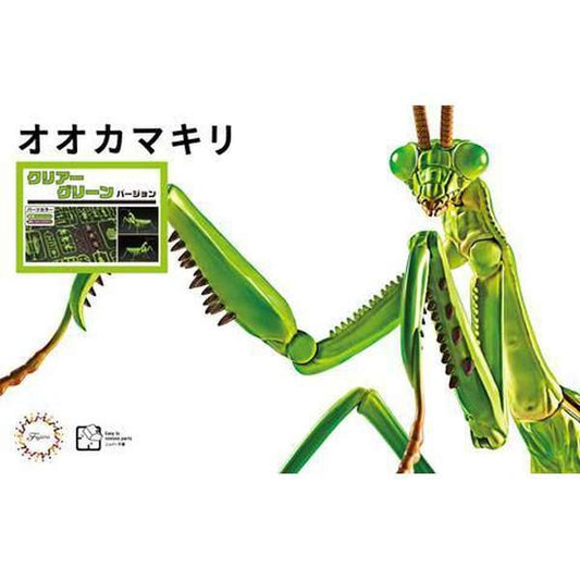 Fujimi 1/1 自由研究 23 EX2 大刀螳螂 水晶透明綠 組裝模型 - TwinnerModel