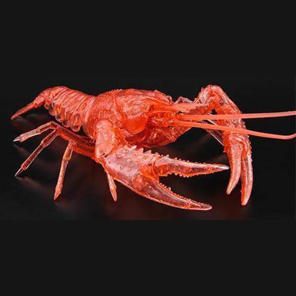 Fujimi 自由研究 24 EX4 美國螯蝦 透明紅 組裝模型 - TwinnerModel