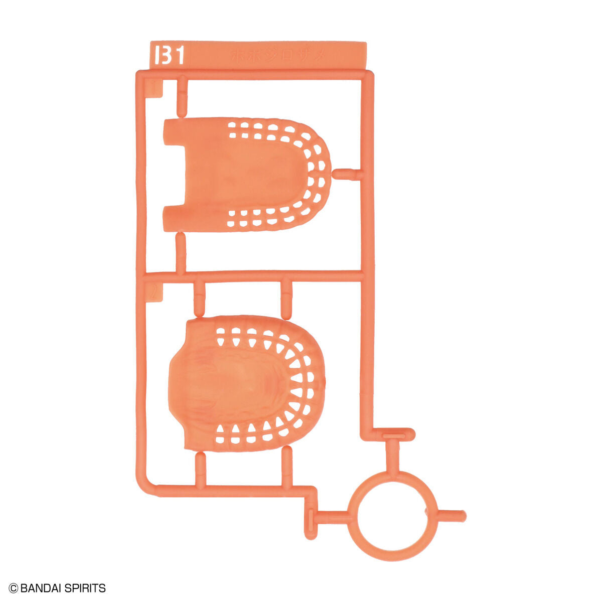 Bandai 探索自然實驗室 大白鯊 組裝模型 - TwinnerModel