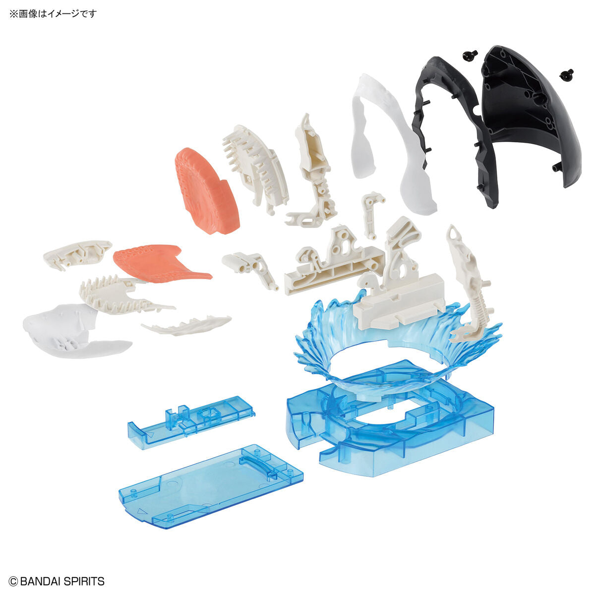 Bandai 探索自然實驗室 大白鯊 組裝模型 - TwinnerModel